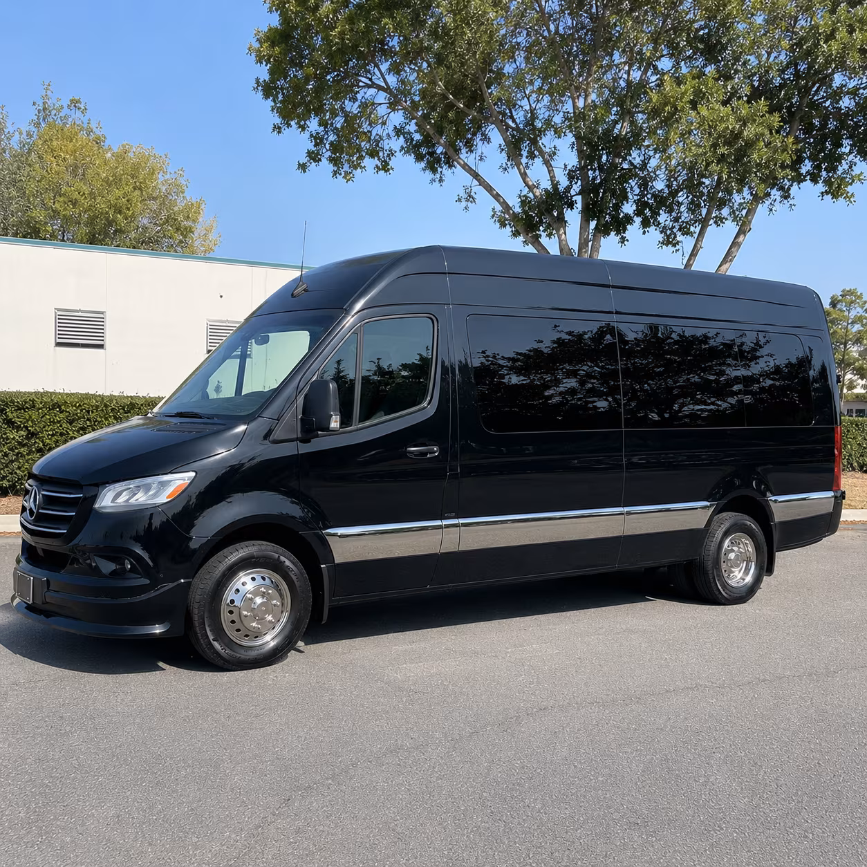 sprinter van and minibus rentals for executive groups in davie